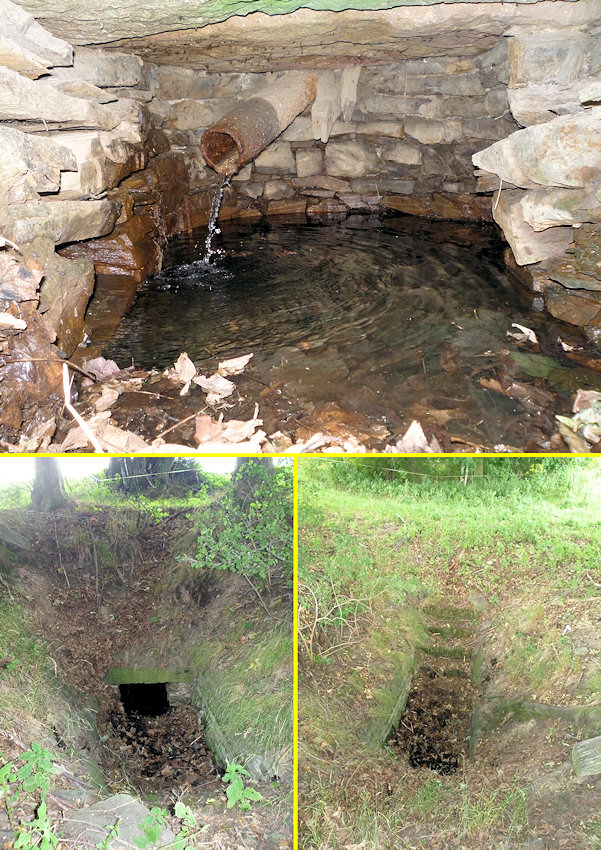 studánka Na půli cesty (4868)