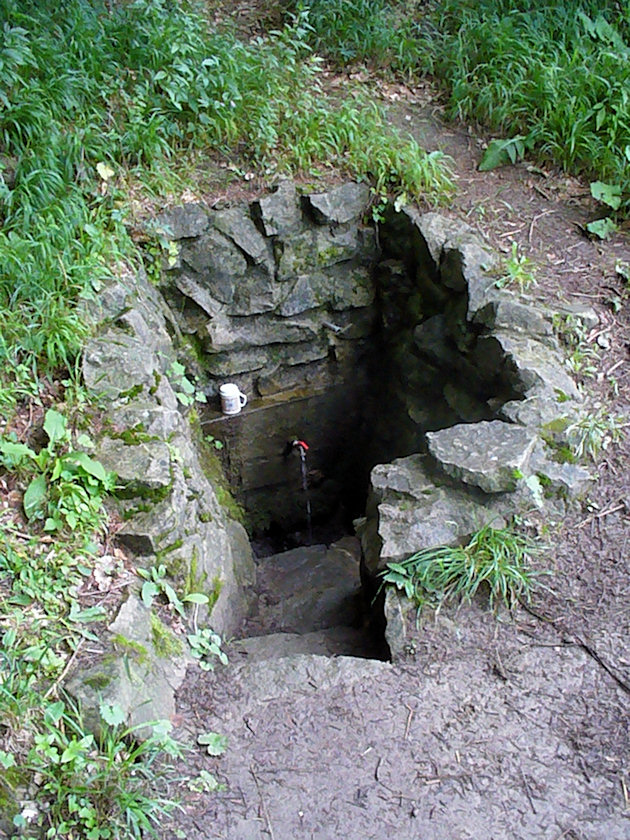 studánka U Hlavinků (4879)