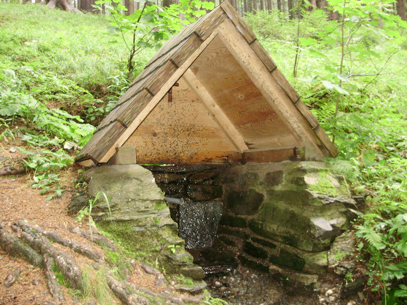 studánka bez jména (4883)