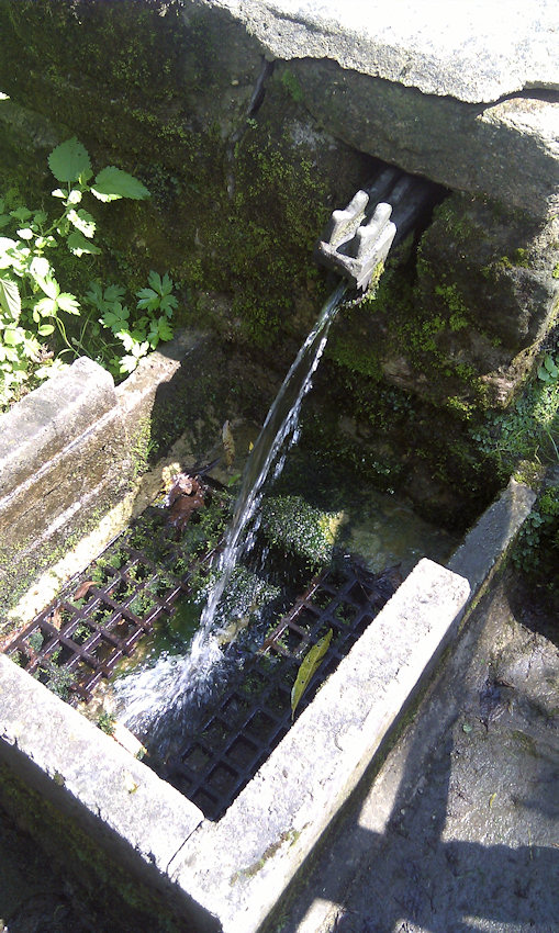 studánka Pastviny II (4893)