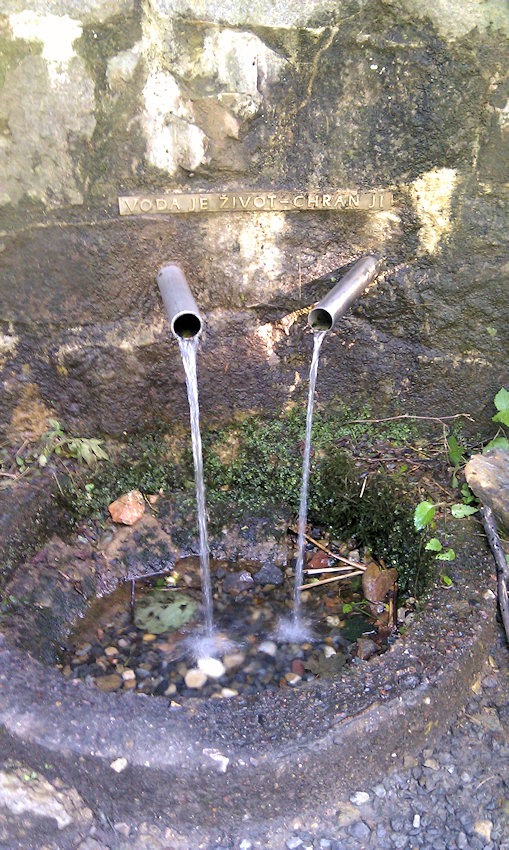 studánka Pastviny I (4894)