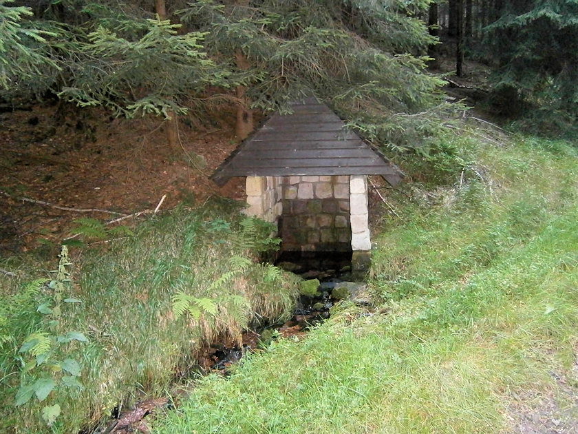 studánka pramen Jeleního potoka (4896)