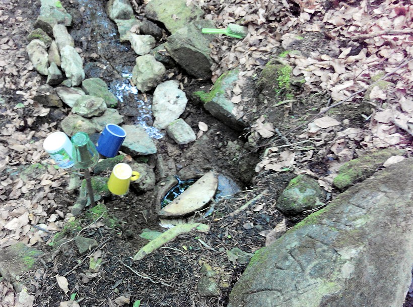 studánka U Šubice (4897)