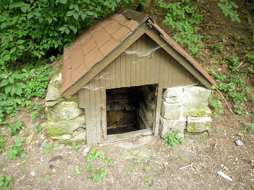 studánka Ve Valských dolech (4909)