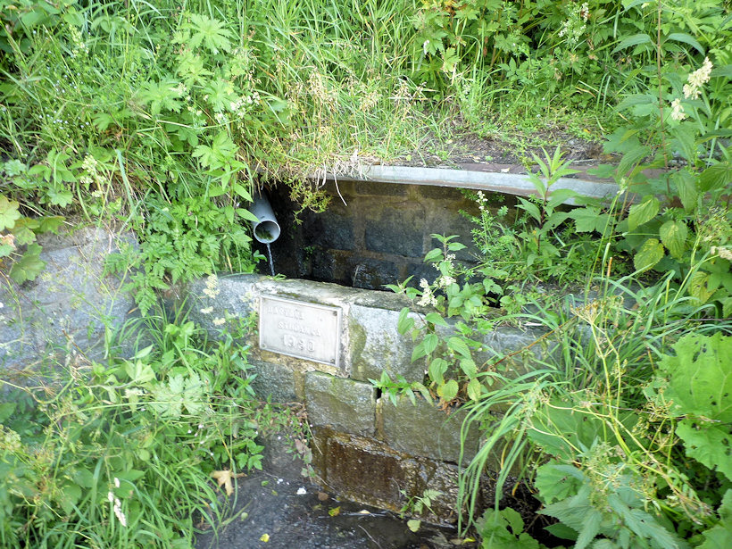 studánka Bartova (4913)