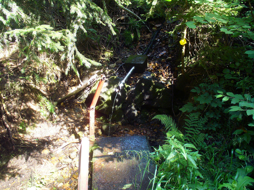 studánka bez jména (4917)