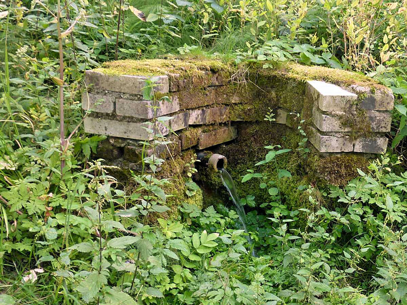 studánka bez jména (4921)