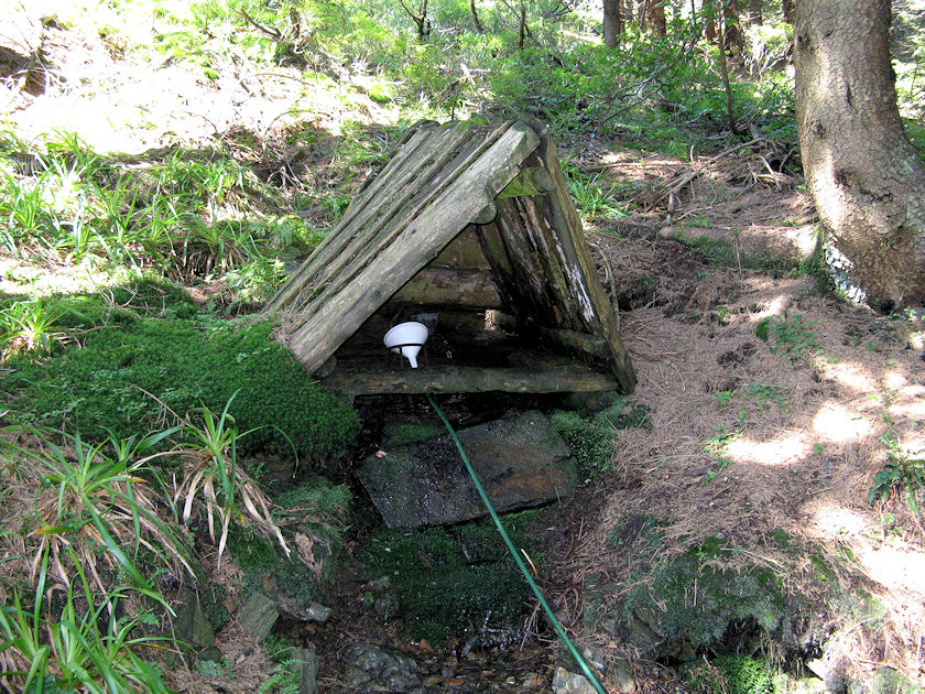studánka Sněžná dolina (4924)