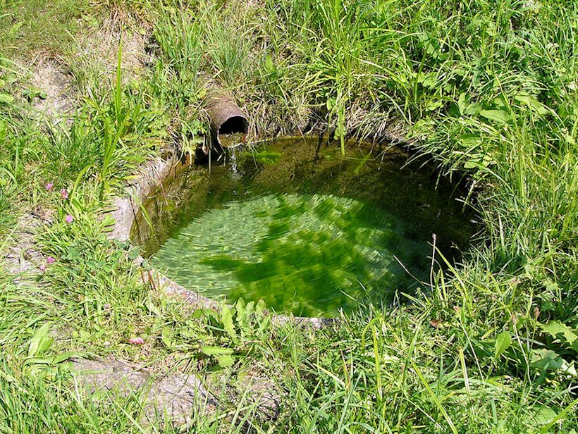 studánka Pod zahrádkami (4932)