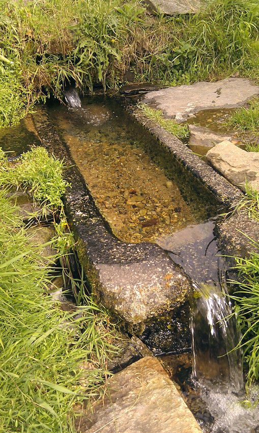 studánka bez jména (4935)