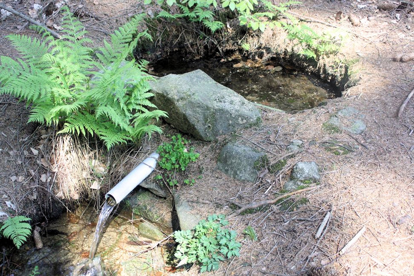 studánka Pod Opálenou (4936)
