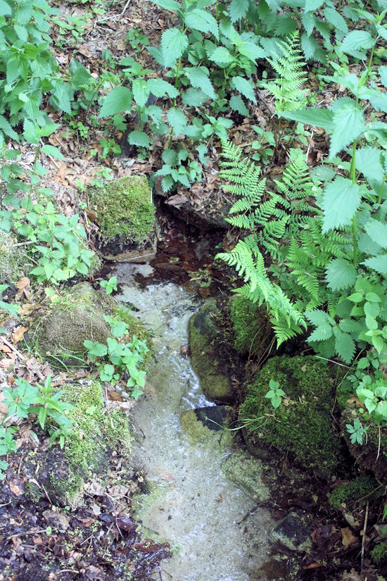 studánka Písečná (4938)