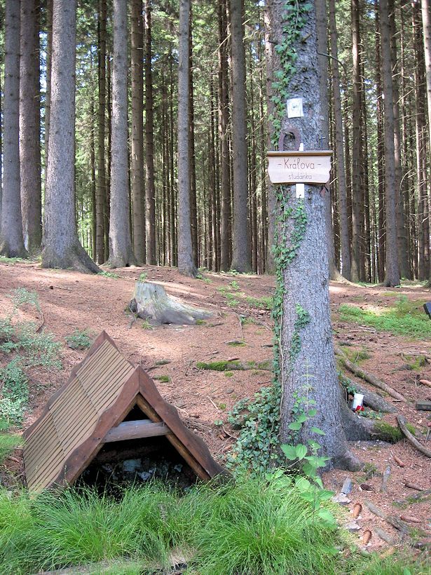 Tříkrálová studánka (4940)