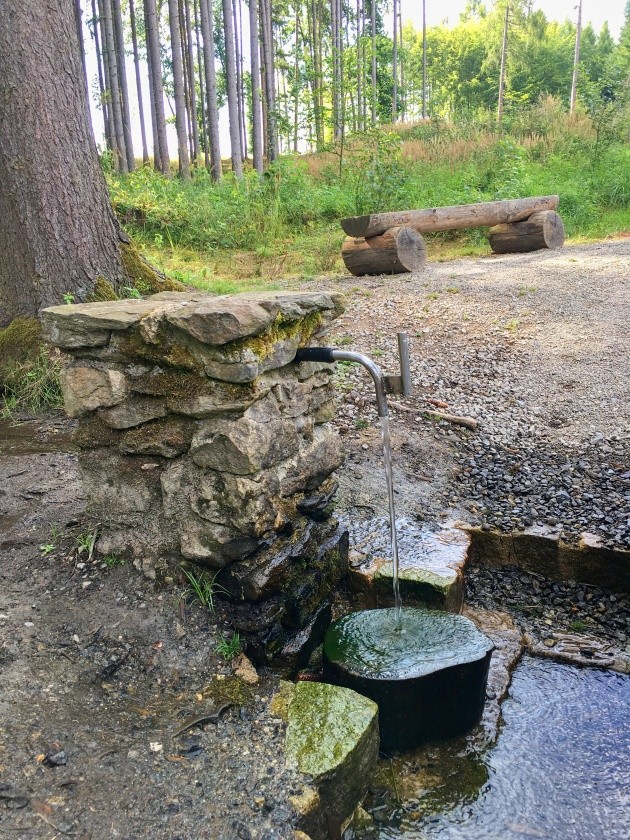 studánka Na Zádolí (4946)