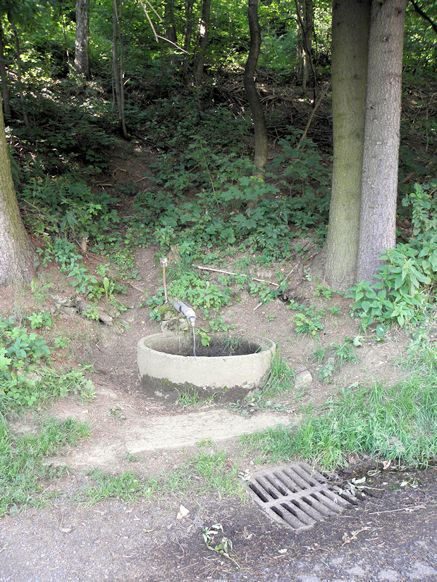 studánka bez jména (4950)