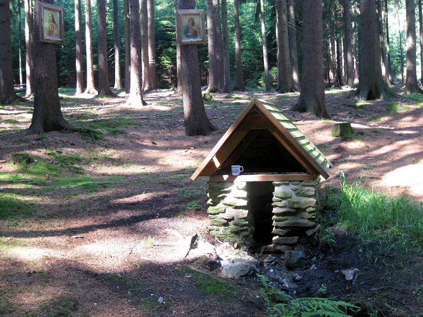 studánka Panský les (4952)