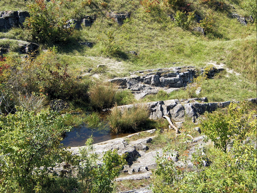 jiný vodní zdroj Fialová studánka (4954)