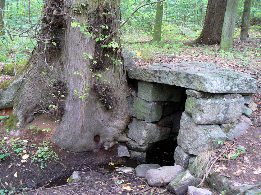 studánka bez jména (4955)