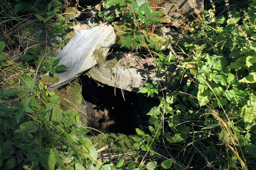 studánka Ostružinová (4957)
