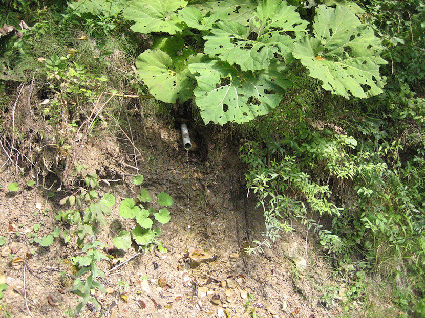 studánka Kalvárie (4966)