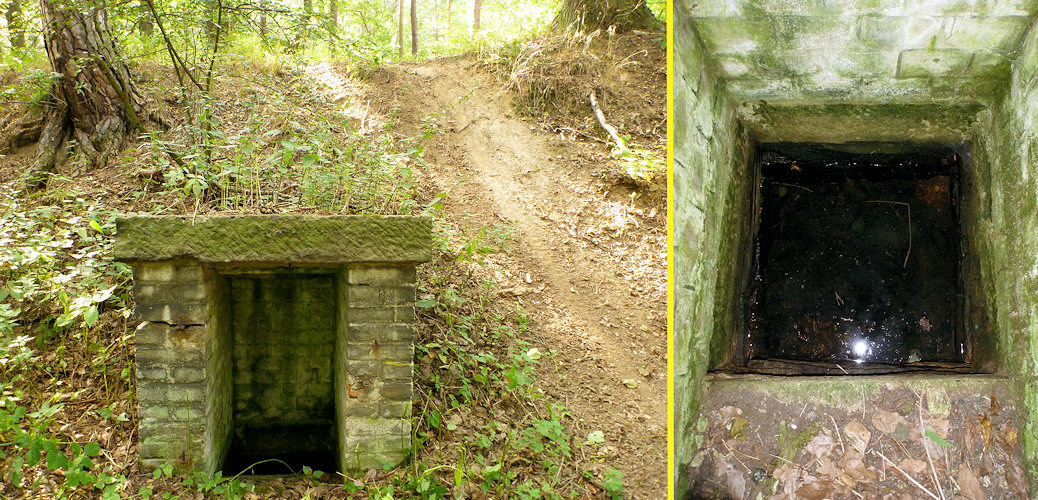 studánka U střelnice (4973)