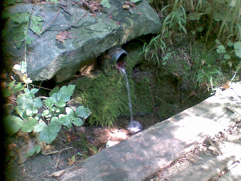 studánka bez jména (4983)