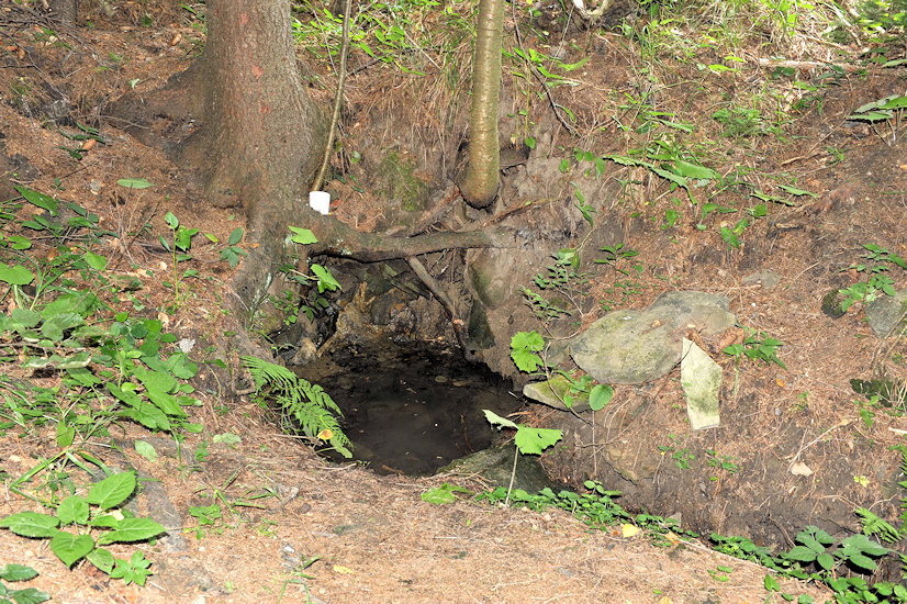 pramen Pod Královcem (4989)