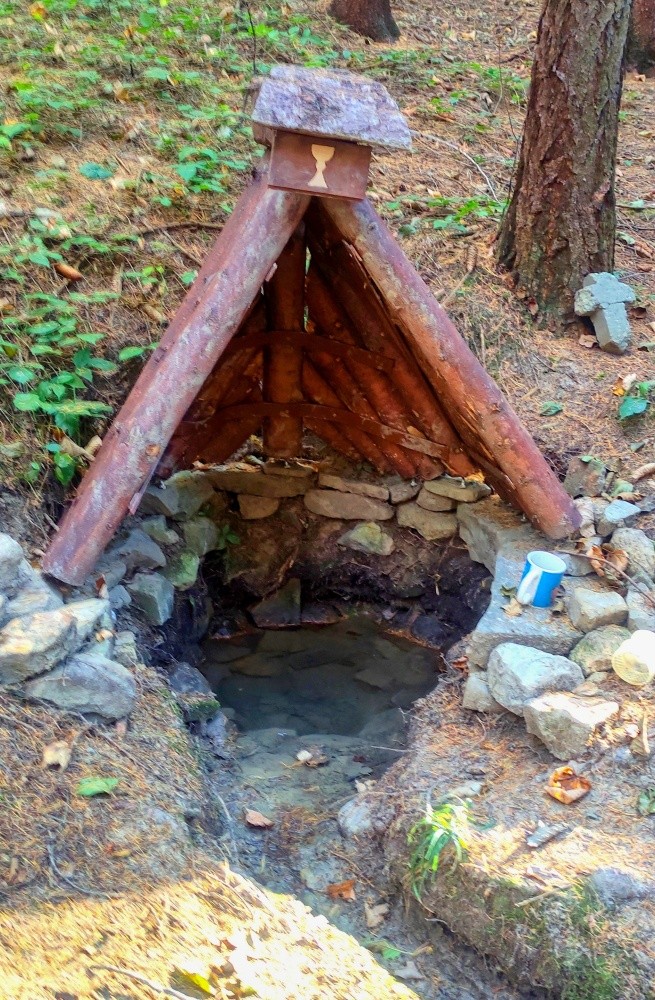 studánka U kalicha (4990)