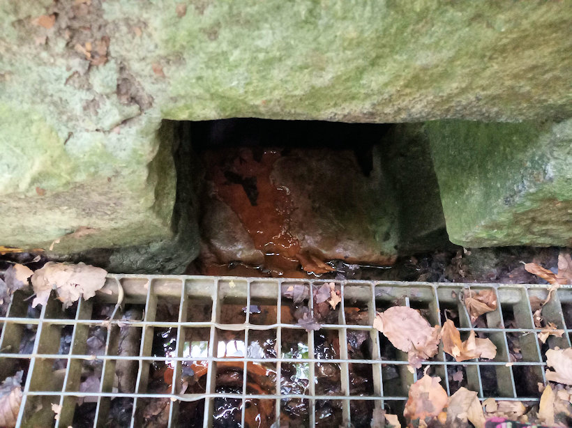 studánka Janáčkova kyselka (4991)