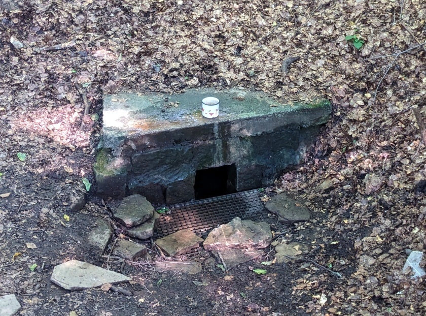 studánka Dolní pramen Březovské kyselky (4992)