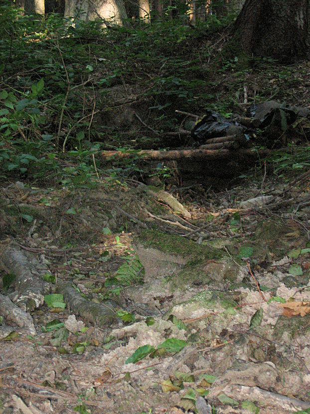 Studánka za Jančičkou  (4995)