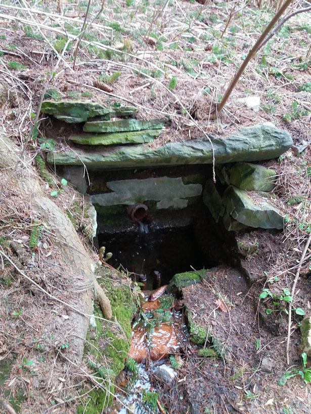 Menhartická studánka (5009)