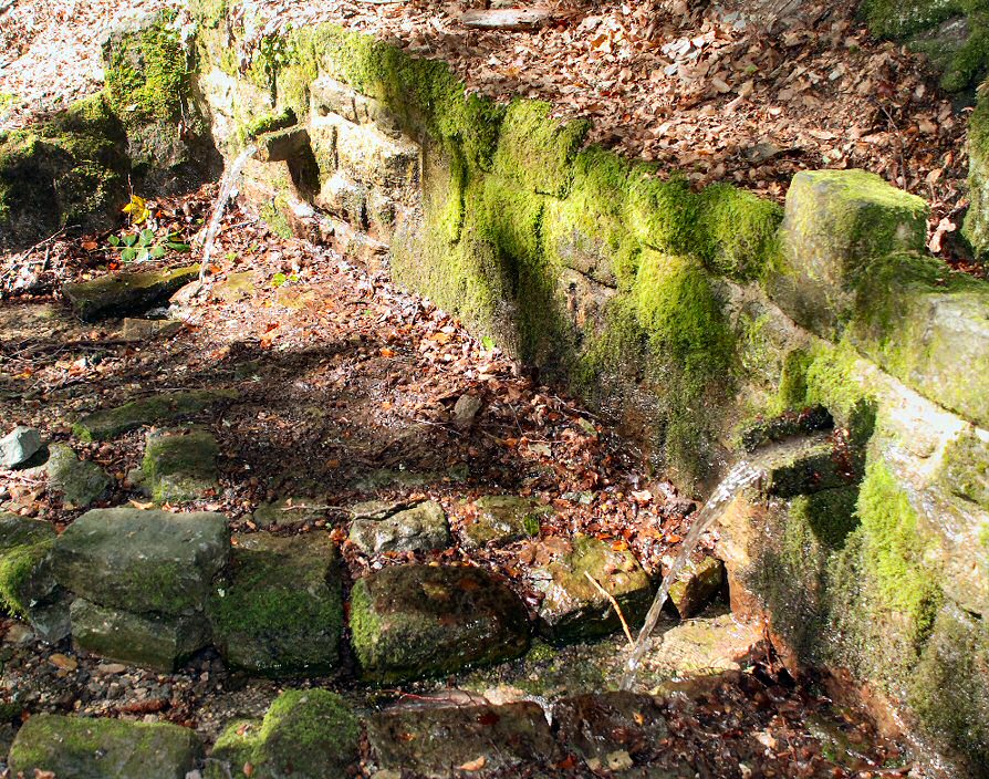 studánka Bukovka (5019)