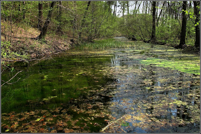 prameniště U zámku (5024)