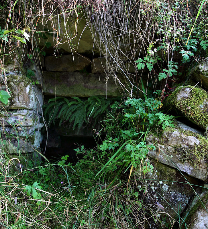 studánka U Lomu (5026)