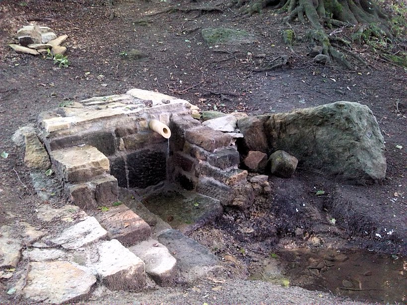 studánka Na Myšině (5041)