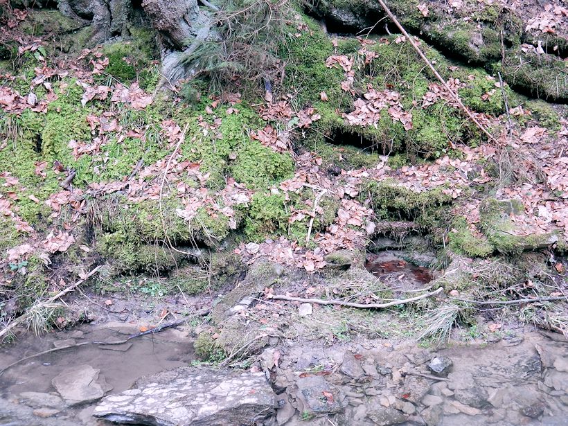 studánka Bublajz (5044)