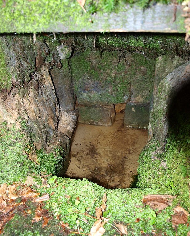 studánka bez jména (5048)