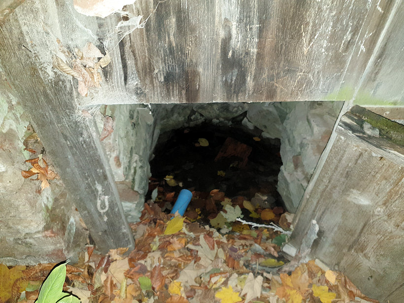 studánka Haltýř (5050)