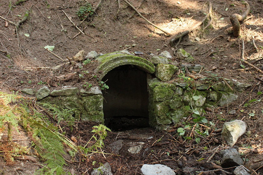 Martina studánka (5052)