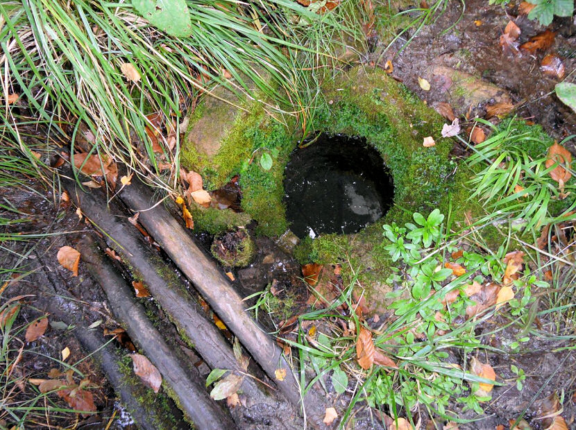 Kladěrubská studánka (5057)