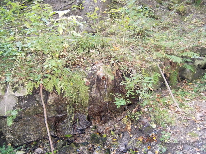 studánka bez jména (5101)