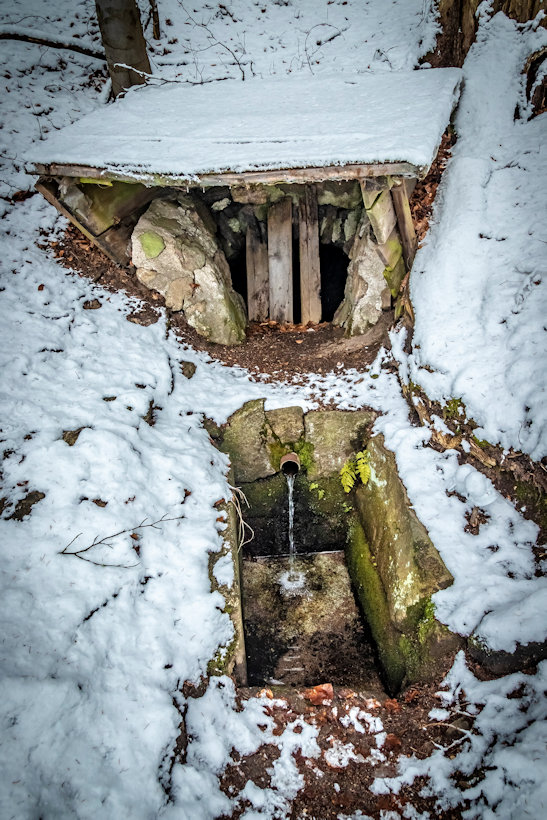 studánka bez jména (5102)