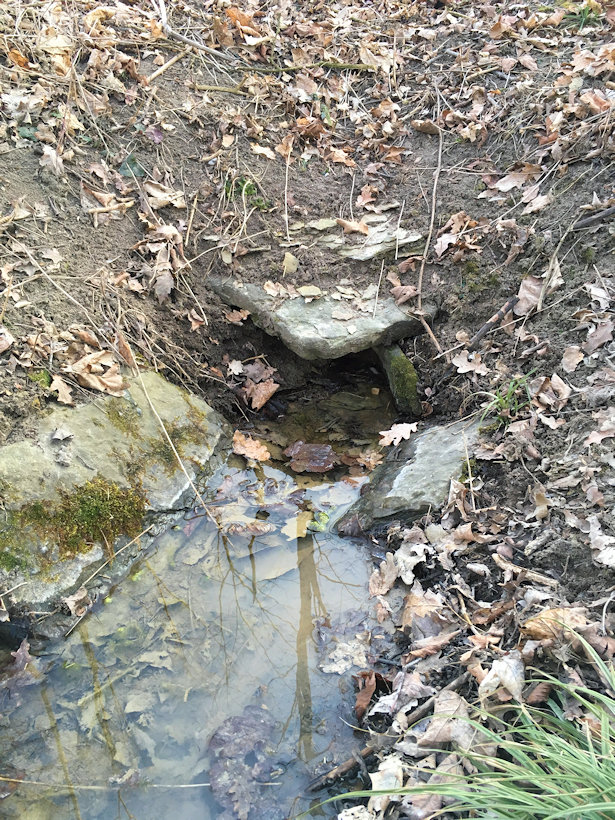studánka V Podjemu (5105)