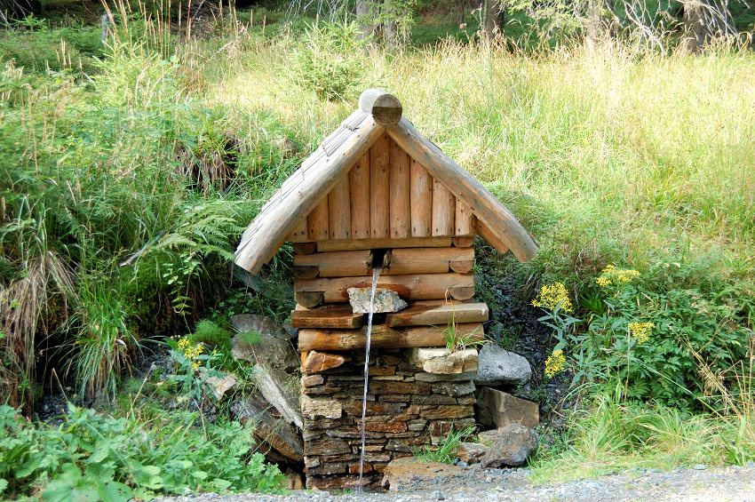 studánka bez jména (5106)