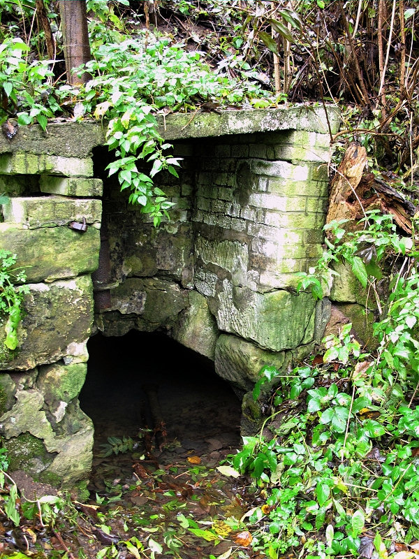studánka bez jména (5107)