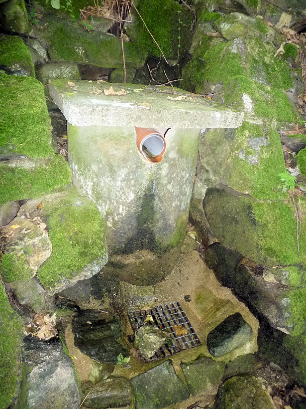 studánka Pod starou kaplí (5111)