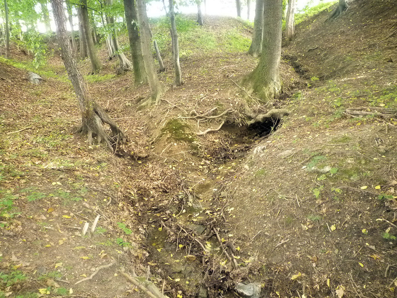 pramen Drašnarův dolíček (5115)