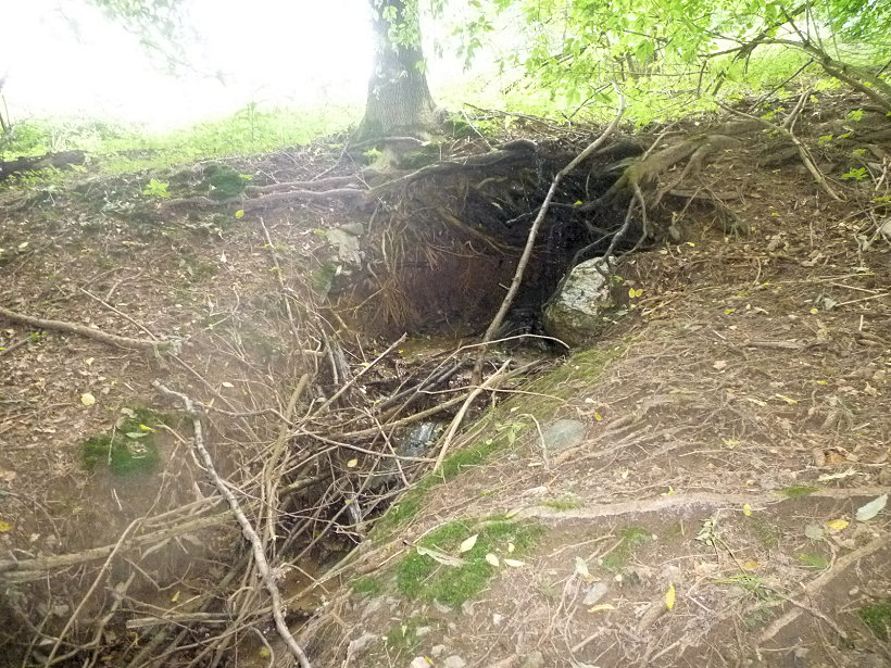 pramen Petrův dolíček (5116)