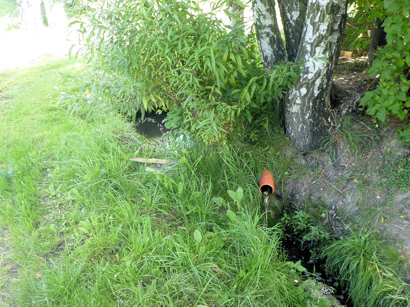 studánka Jestřebinská (5117)